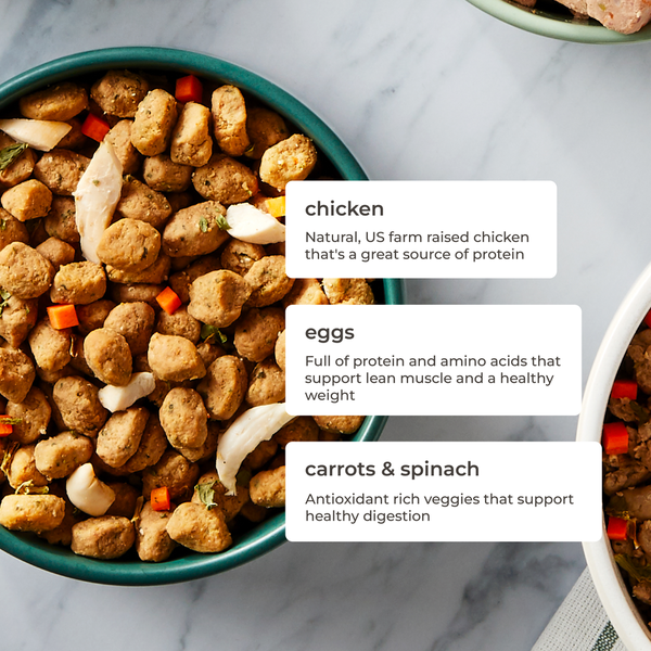 Freshpet Healthy & Natural Dog Food, Fresh Chicken Recipe