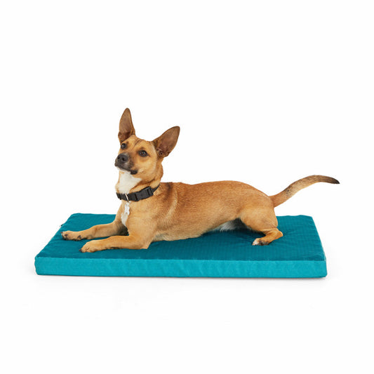 EveryYay Orthopedic Cooling Dog Mat - Teal