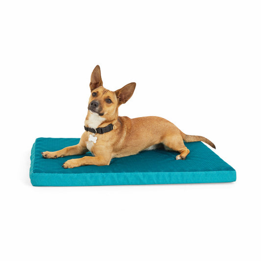 EveryYay Cool Pet Ortho Mat - Teal